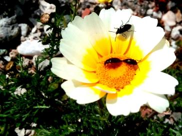 Η φωτογραφία της ημέρας