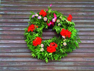 Η φωτογραφία της ημέρας