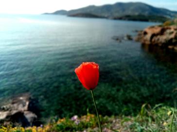 Η φωτογραφία της ημέρας