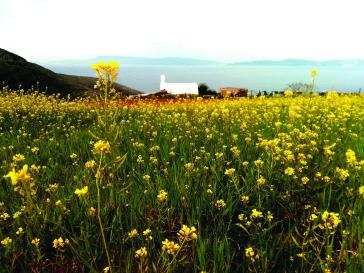 Η φωτογραφία της ημέρας