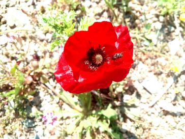 Η φωτογραφία της ημέρας