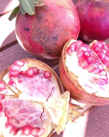 Η φωτογραφία της ημέρας