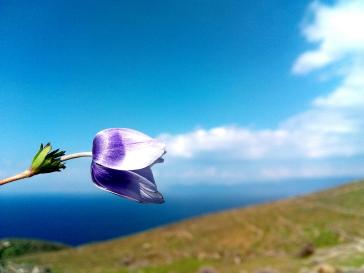 Η φωτογραφία της ημέρας