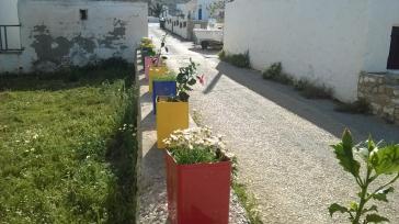 Η φωτογραφία της ημέρας