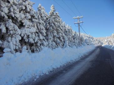 Η φωτογραφία της ημέρας