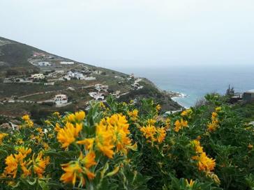 Η φωτογραφία της ημέρας