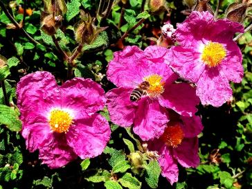 Η φωτογραφία της ημέρας