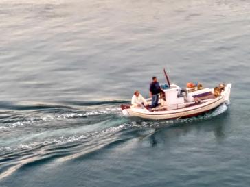 Η φωτογραφία της ημέρας