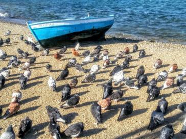 Η φωτογραφία της ημέρας