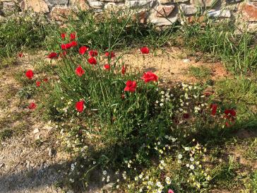 Η φωτογραφία της ημέρας