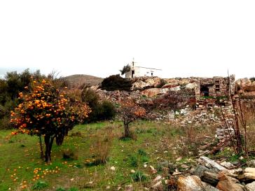 Η φωτογραφία της ημέρας