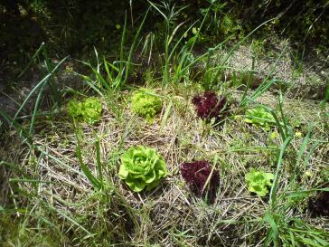 Η φωτογραφία της ημέρας