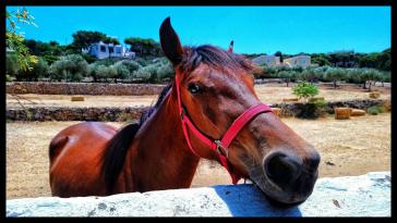 Η φωτογραφία της ημέρας