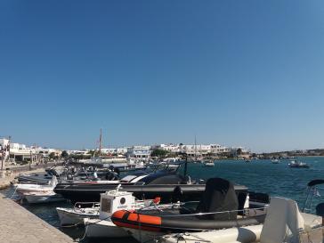 Η φωτογραφία της ημέρας