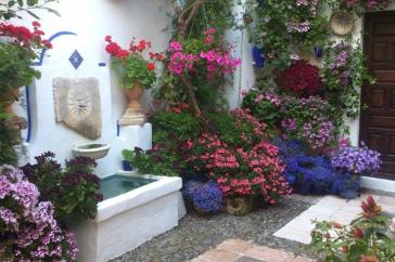 Η φωτογραφία της ημέρας