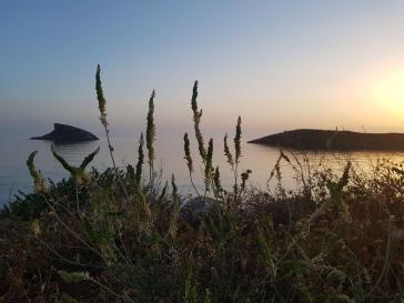 Η φωτογραφία της ημέρας