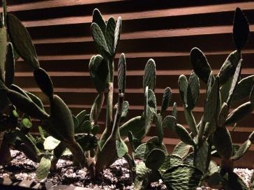 Η φωτογραφία της ημέρας