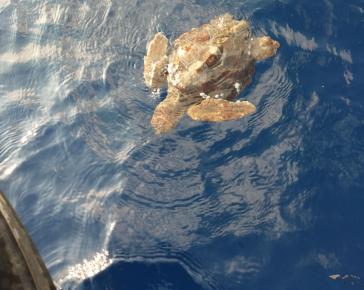 Η φωτογραφία της ημέρας