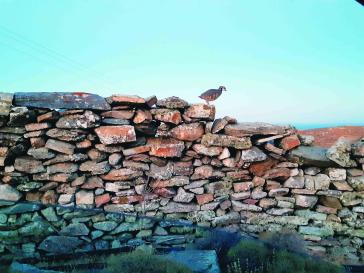 Η φωτογραφία της ημέρας