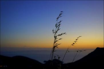 Η φωτογραφία της ημέρας