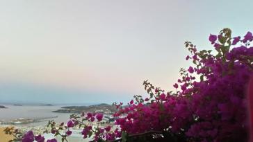 Η φωτογραφία της ημέρας