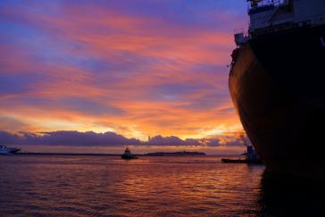 Η φωτογραφία της ημέρας