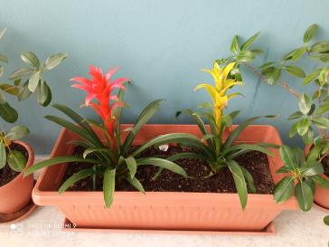 Η φωτογραφία της ημέρας