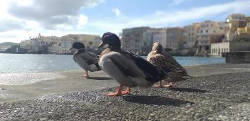 Η φωτογραφία της ημέρας