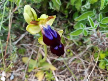 Η φωτογραφία της ημέρας