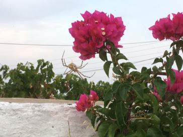 Φωτογραφία της ημέρας