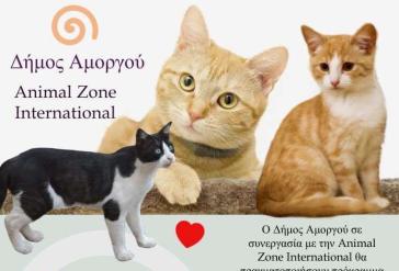 Αμοργός: Πρόγραμμα στειρώσεων αδέσποτων ζώων