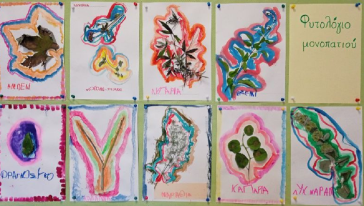 Τα παιδιά του Φοίνικα μας δείχνουν το δρόμο