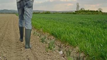 Ένταξη στο καθεστώς ανωτέρας βίας ζητά ο Φιλήμονας Ζαννετίδης για τους υπό απένταξη νέους αγρότες της 1ης πρόσκλησης