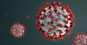 Ανακαλύφθηκε πρωτεΐνη που μπλοκάρει τη λοίμωξη Covid-19 στους πνεύμονες