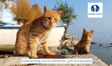 Πάρος: “Το επίπεδο του Πολιτισμού μας φαίνεται και από τον τρόπο αντιμετώπισης των ζώων”