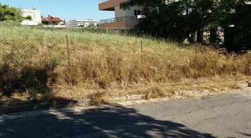 Σύρος: Οδηγίες του Δήμου για τον καθαρισμό οικοπέδων ενόψει αντιπυρικής περιόδου