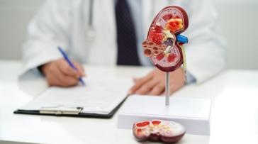 Τι αλλάζει από το φθινόπωρο στις δωρεές οργάνων - Πώς θα αυξηθούν οι μεταμοσχεύσεις