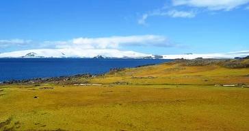 Μετά τη Σαχάρα η κλιματική αλλαγή «πρασινίζει» και την Ανταρκτική