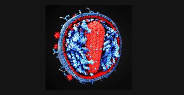 Μεταπνευμονοϊός: Αυτά είναι τα συμπτώματα – Τι λένε οι ειδικοί