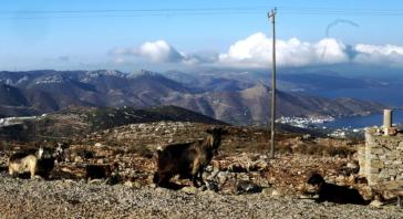 Σε κατάσταση έκτακτης ανάγκης κηρύχθηκε η Αμοργός