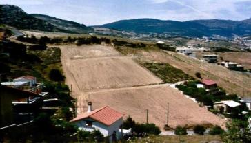 Κοιμήθηκαν με οικόπεδα, ξύπνησαν με χωράφια