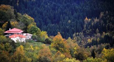 Πώς να διαχειριστείτε τον δασικό χαρακτηρισμό