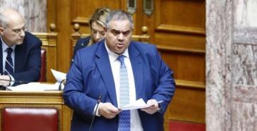 Στα 73 εκατ. ευρώ οι χρηματοδοτήσεις του Υπ. Εσωτερικών για τα αδέσποτα ζώα συντροφιάς