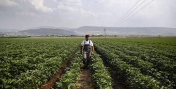 Εφιαλτικό σενάριο «κουρέματος» των αγροτικών επιδοτήσεων