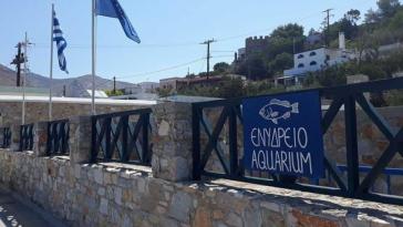 Ραντεβού στο Ενυδρείο!