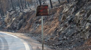 Χίος: Πάνω από 69.000 στρέμματα καμένα σύμφωνα με το Αστεροσκοπείο Αθηνών