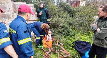 Σύρος: Επιχείρηση απεγκλωβισμού σκύλου από πηγάδι 15 μέτρων