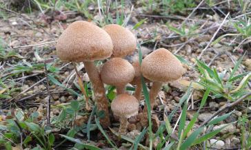 Η φωτογραφία της ημέρας