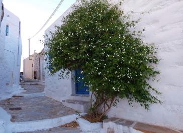 Η φωτογραφία της ημέρας