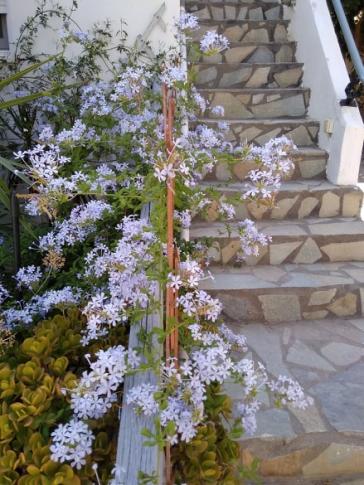 Η φωτογραφία της ημέρας